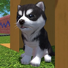 Cute Pocket Puppy 3D - Part 2 Mod Apk [Free purchase][Mod speed]
