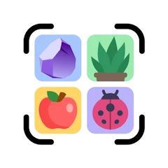 All Scanner: Scan & Identify Mod APK