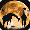 Shadow Wallpaper Mod Apk [Free purchase][Mod speed]