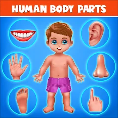 Human Body Parts - Kids Games Mod Apk [Remove ads][Mod speed]