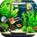 4D Fish Tank Live Wallpaper Mod Apk [Free purchase][Mod speed]