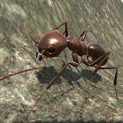 Ant Simulation 3D Mod Apk [Unlimited money]