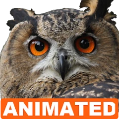 Owl Live Wallpaper Mod Apk [Dibayar Gratis][Pembelian Gratis]