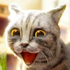 Cat Simulator 2 Mod Apk 1.1.4 [Remove ads][Mod speed]