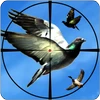 Flying Bird Hunting Games: Bird Shooter Mod Apk [Uang Tak Terbatas]