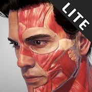 Action Anatomy Lite Mod Apk [Remove ads][Mod speed]
