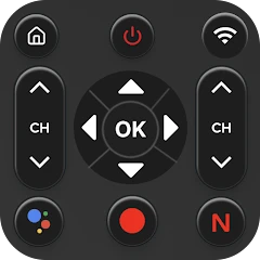 Universal TV Remote Control