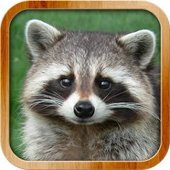 Kids Learn About Animals