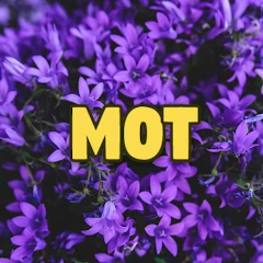 Word Madness : Guess 3 Letters