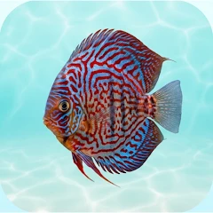 Aquarium fish Mod Apk [Remove ads][Mod speed]