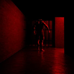 Dark Delirium: Multiplayer