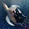 Idle Sea World Mod Apk [Remove ads][Mod speed]