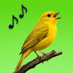 Sounds of birds Mod Apk [Remove ads][Mod speed]