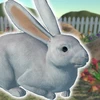 Rabbit Friends - caring games Mod Apk [Remove ads]
