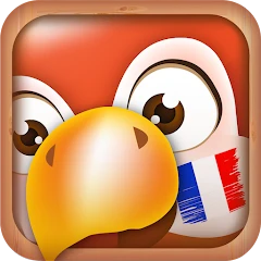 Learn French | Translator Mod apk