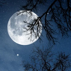 Relax Night: sleep sounds Mod Apk [Unlocked][Pro][Full][AOSP compatible]