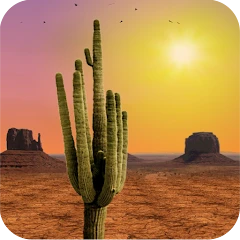Desert Live Wallpaper Mod apk