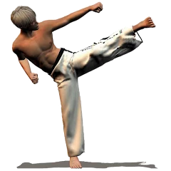 Taekwondo Forms