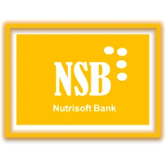 Ns Andro
