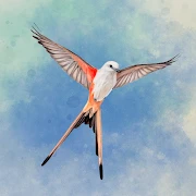 Wingspan: The Board Game Mod Apk [Paid for free]