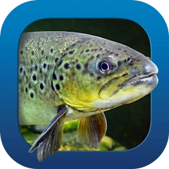Heintges Angelschein Trainer Mod apk