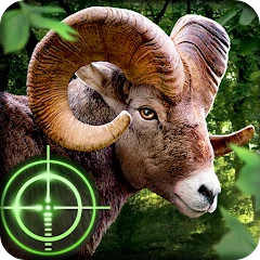 Wild Hunter 3D Mod apk
