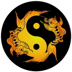 Acupuncture Assistant Mod apk