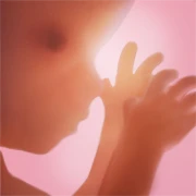 Pregnancy + | Tracker App Mod Apk [Premium]