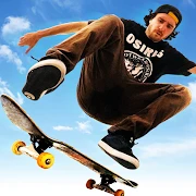 Skateboard Party 3 Mod Apk 