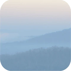 Quieting Anxiety: CBT Tools Mod Apk [Remove ads][Mod speed]