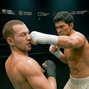 Brutal Knuckle Boxing