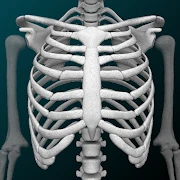 Osseous System in 3D (Anatomy) Mod Apk 3.5.4 [ازالة الاعلانات]