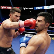 UBC: Sports Game, Boxing & KO! Mod