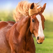 The Horse Mod Apk [Unlimited money][Infinite]