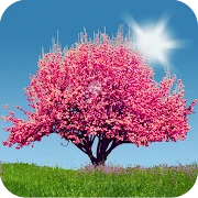 Spring Trees Live Wallpaper Mod apk