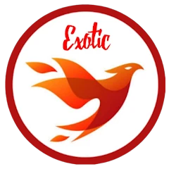 Exotic Fast VIP Mod apk
