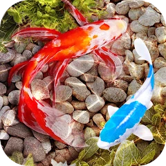 3D Fish Tank Live Wallpaper Mod Apk [Free purchase][Mod speed]