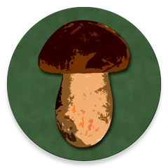Book of Mushrooms Mod Apk [Free purchase][Mod speed]