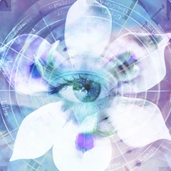 Blue Iris Mod Apk [Paid for free][Free purchase]