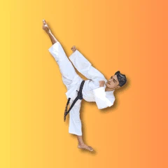 Shotokan Karate WKF Mod Apk [Remove ads][Mod speed]