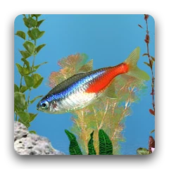 aniPet Freshwater Aquarium LWP Mod Apk 2.4.8 [دفعت مجانا][شراء مجاني]