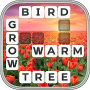 Word Wiz - Connect Words Game Mod Apk [Remove ads][Mod speed]