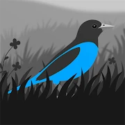 Grayland Mod Apk [Remove ads]