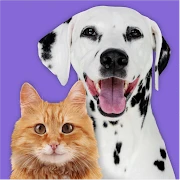 Pet Parade: Cutest Pet Game Mod Apk [Remove ads][Mod speed]