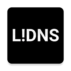 DNS Changer - Lilly Mod Apk 