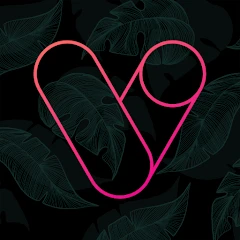 Vera Outline Icon Pack Mod Apk [Paid for free][Free purchase]