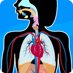 Human Anatomy - Body parts Mod Apk [Unlocked]