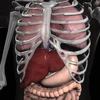 Anatomy 3D: Organs Mod Apk [Paid for free][Free purchase]