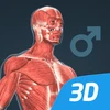 Human body (male) 3D scene Mod Apk 