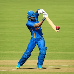 World Champions Cricket Games Мод apk